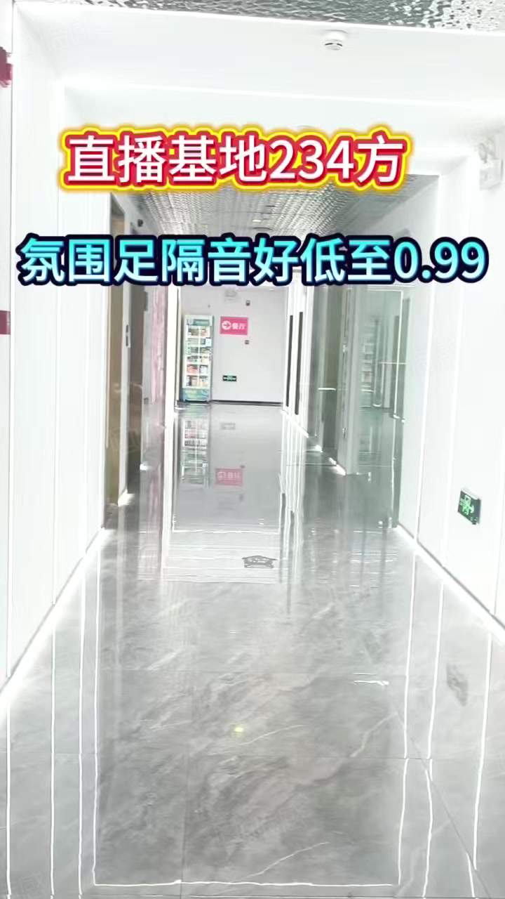 隔音炒鸡好拎厂房出租单层，杭州直播基地精装234方3加1格局