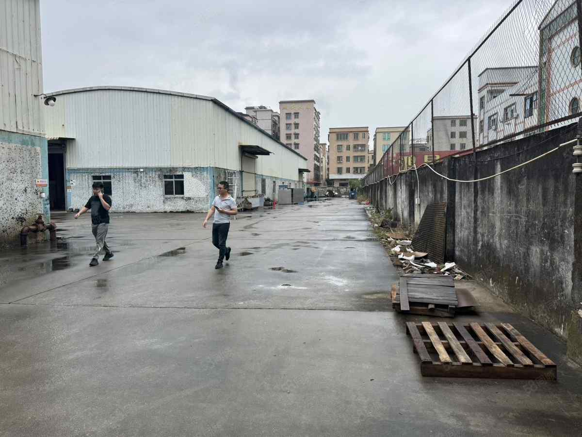 【推荐】珠海斗门新青科技园钢结构一楼2500平米井岸厂房仓库土地车厂房出租单层可注册