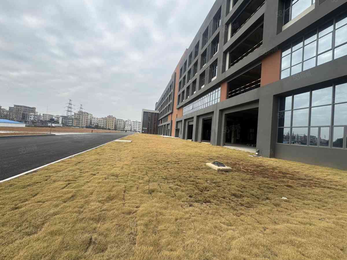 可分租厂房出租单层可注册，珠海斗门区新青产业区新青工业区全新厂房60000平米