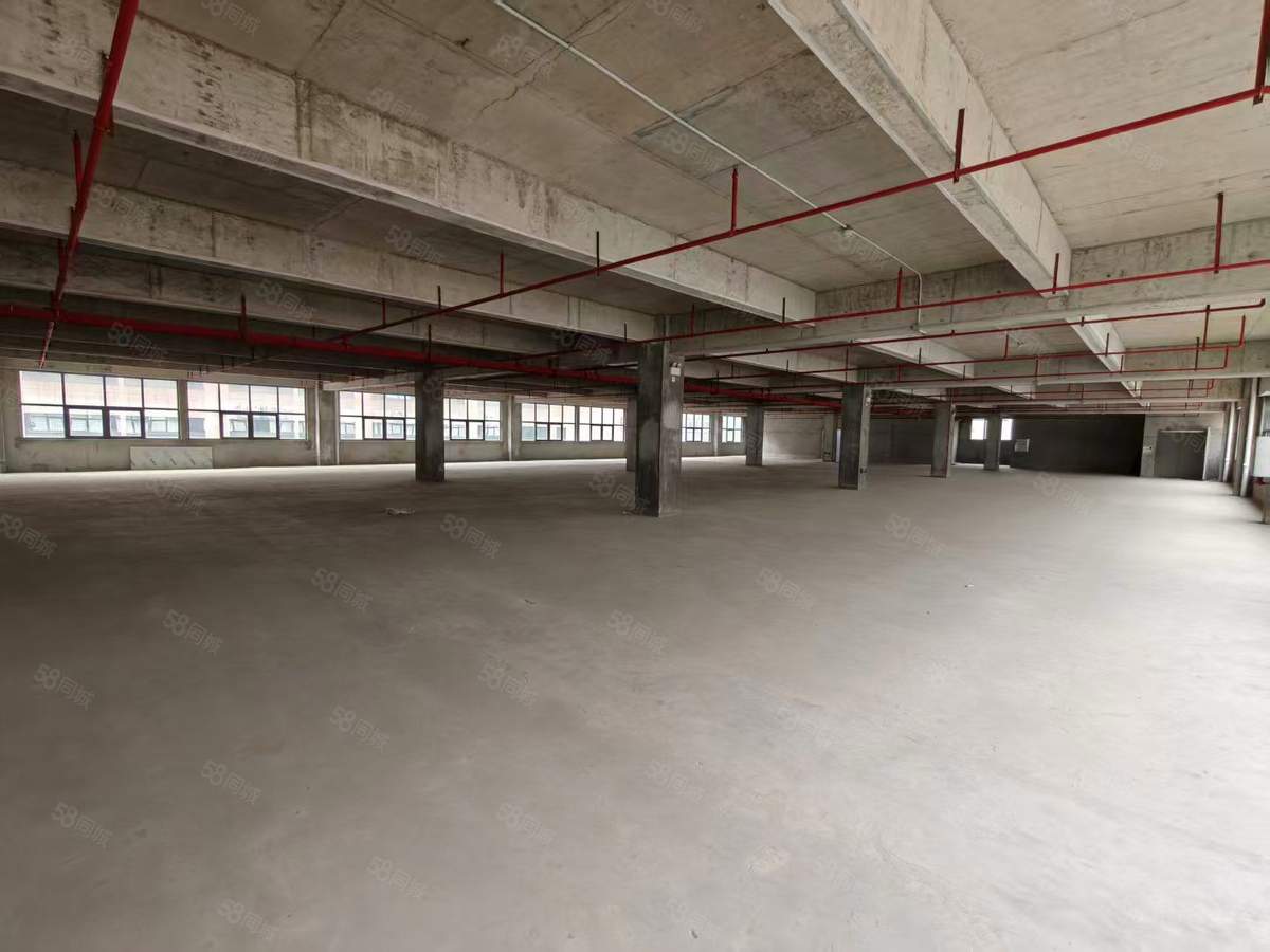【推荐】福州标准厂房 货柜车可进 掉头 单层2560可分厂房出租