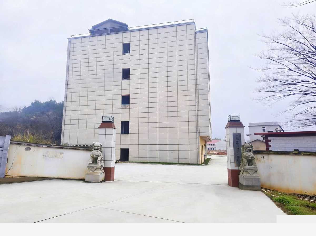 【优质】长沙房东直租 雨花区跳马镇金屏村独门独院多栋楼房8000平厂房出租多层