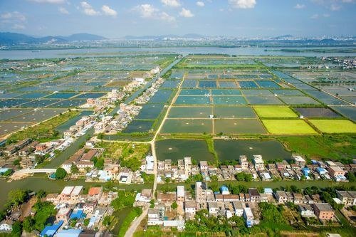 官宣！珠海睿创产业园正式招商-厂房土地租售选址