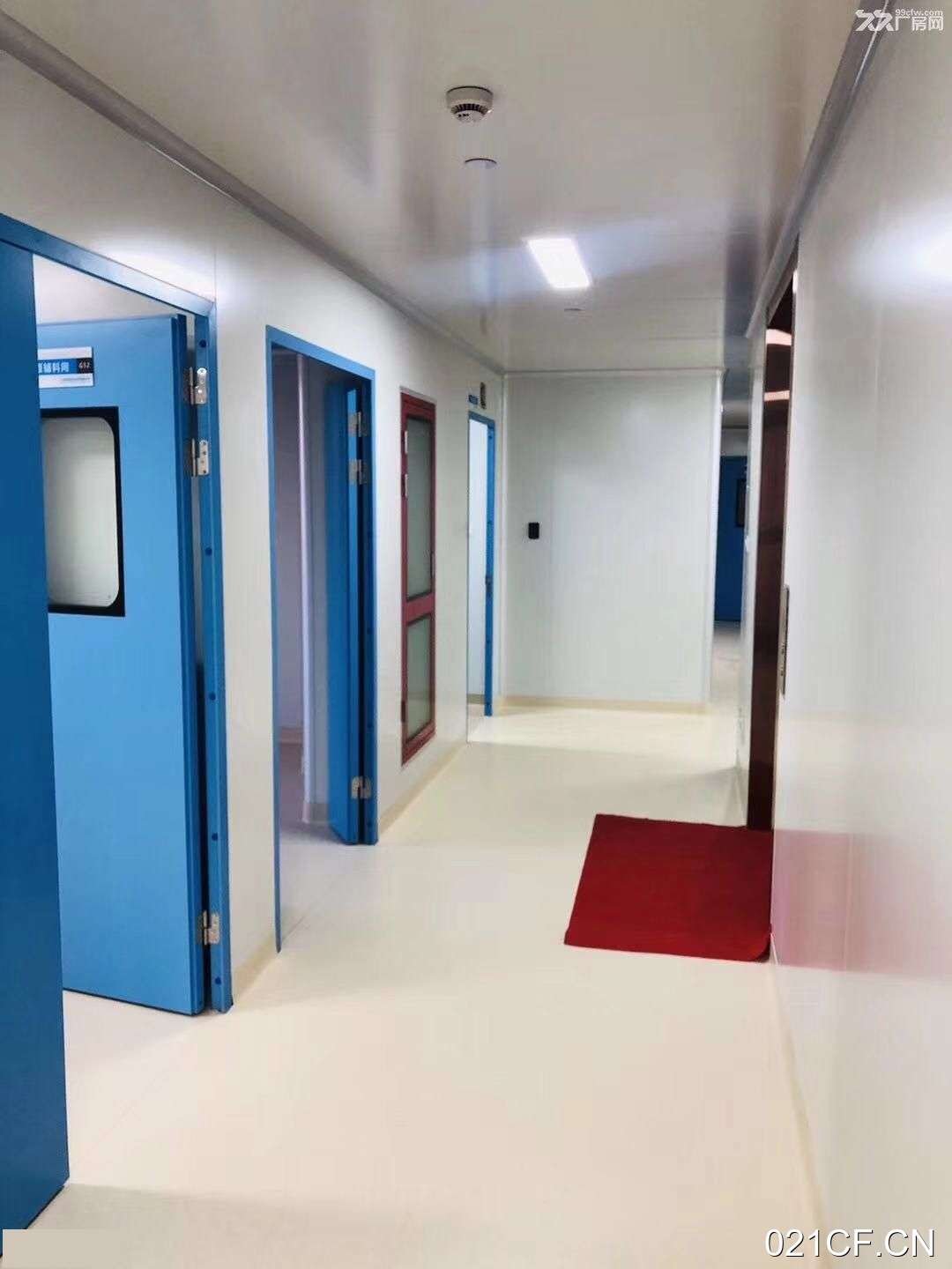 上海浦东张江招商中心周浦医学园区中心独栋精装修细地铁可分租（上海）厂房出租：地铁直达