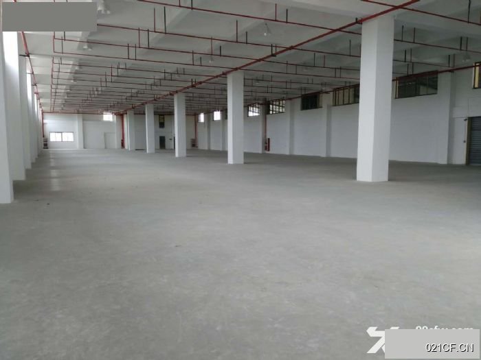 工业园上海浦东合庆工业园工业园区独栋医疗器械生物诊断地铁可分租厂房出租：地铁直达