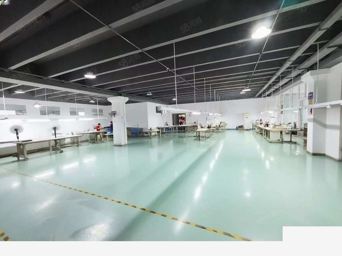 青岛精装厂房 租售均可  吨货梯入户厂房出售：区位优势明显