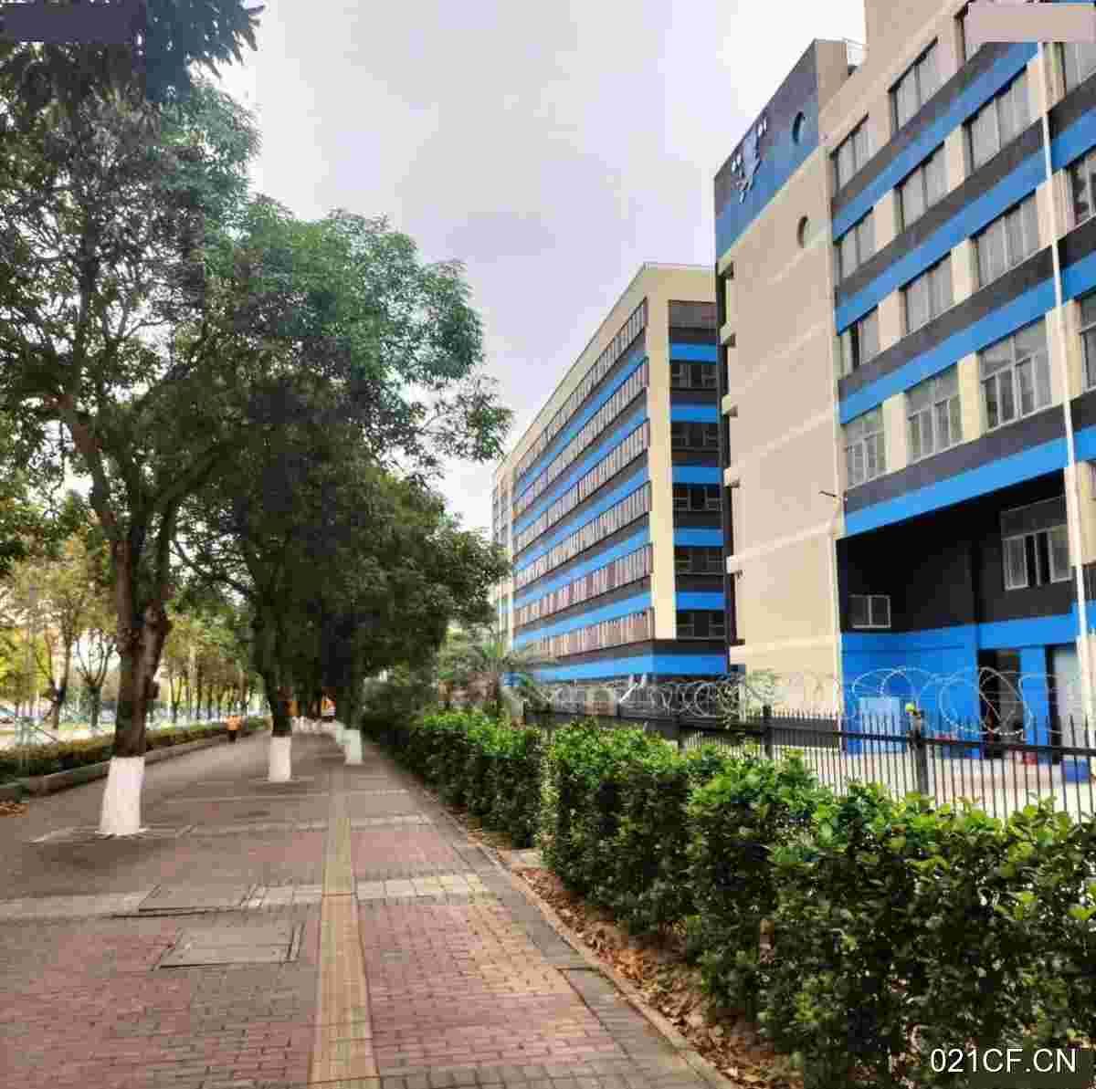 珠海金湾仓库出租实景图2