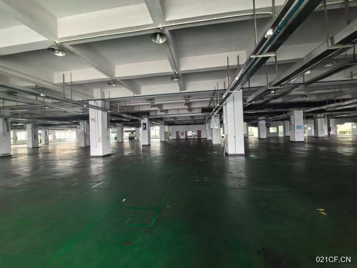 广州广州黄埔黄埔区府工业楼上每平方承重吨单层面可分租厂房出租，配套完善