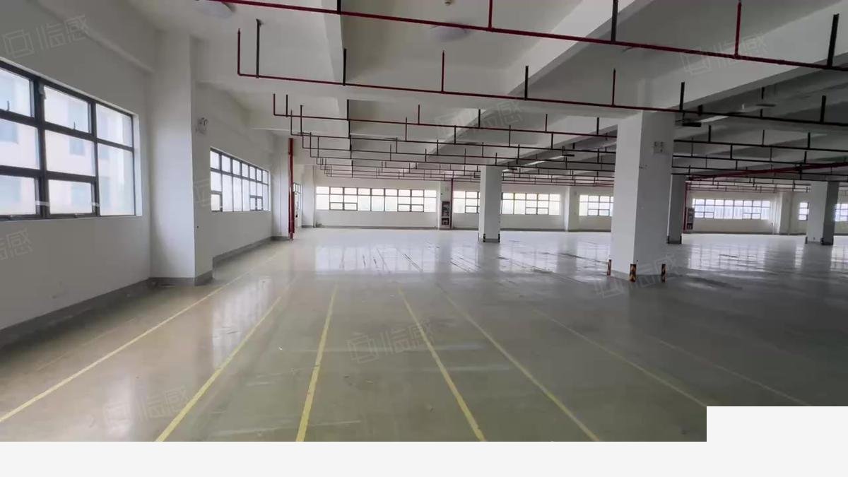 上海松江工业区通燃气房东直租无公摊面积厂房出租（上海），配套完善