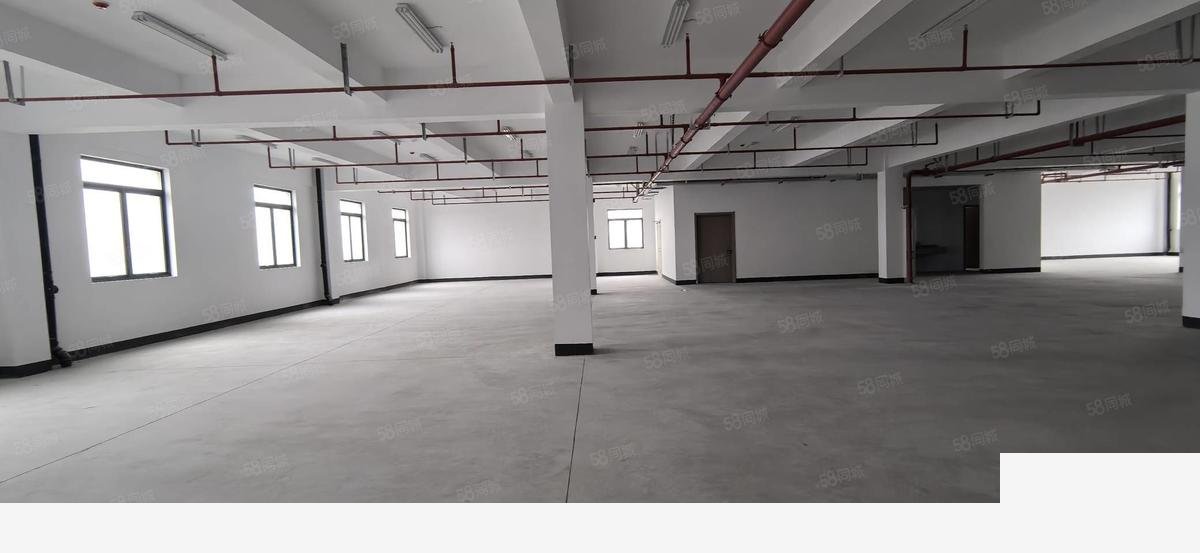【稀缺】上海上海青浦安公路封浜   原房东直租仓库厂房出租，地铁直达