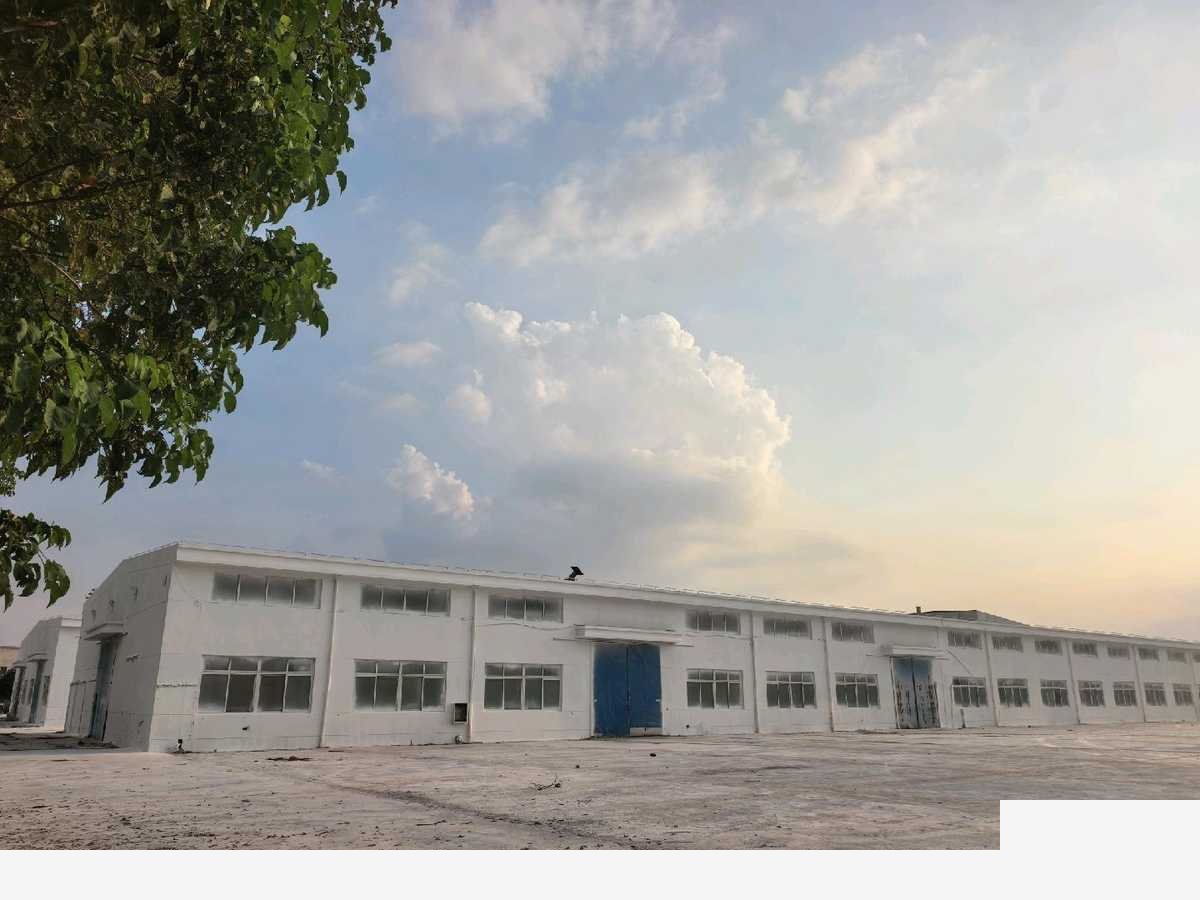 上海金山房东直租全新单层厂房有房产证共栋厂房出租（上海），可办独立产证