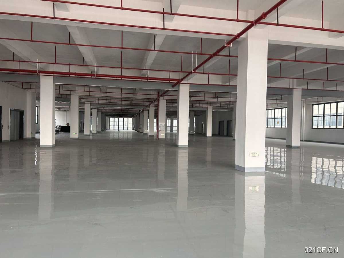 深圳龙岗其他惠阳临深原房东形象超好高端智标准厂房地铁单层厂房出租｜深圳，地铁直达