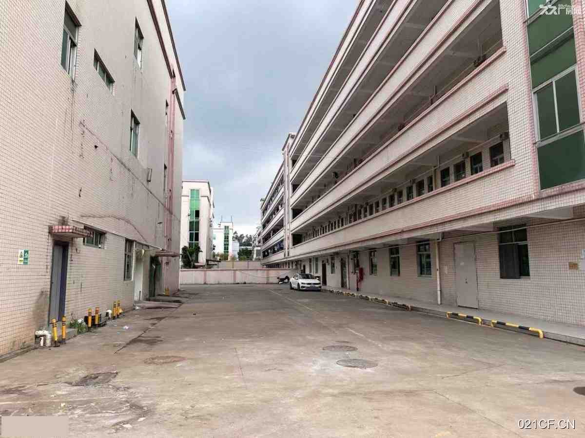 深圳龙华新区厂房出租实景图2