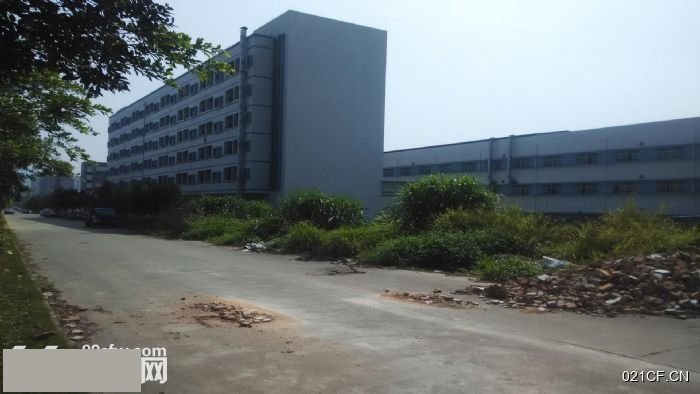 东莞常平厂房出租实景图2