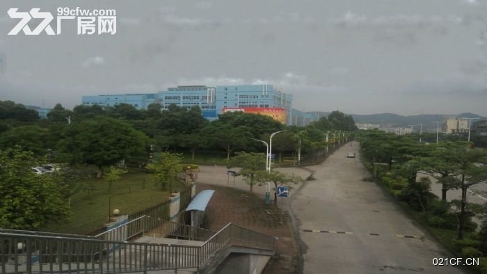 东莞凤岗其他市镇钢架 (可分租)单层厂房出租｜东莞，优质产业载体