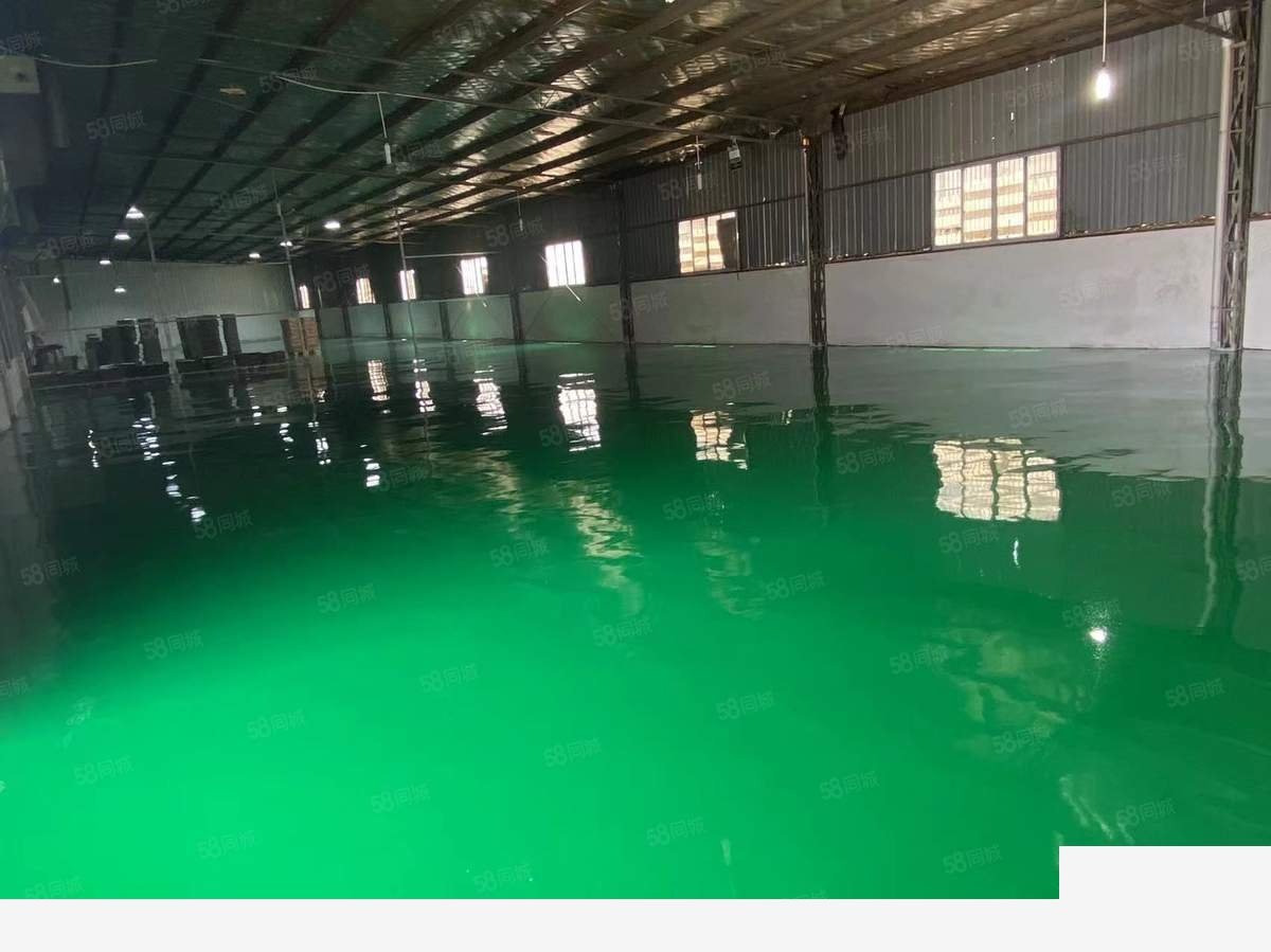 【重点】上海上海洞泾单层厂房无立柱，层高米，适合仓库广告加厂房出租，首层5米层高
