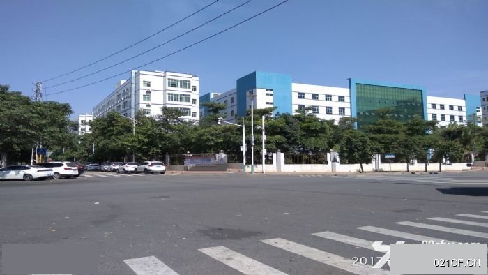东莞塘厦厂房出租实景图2