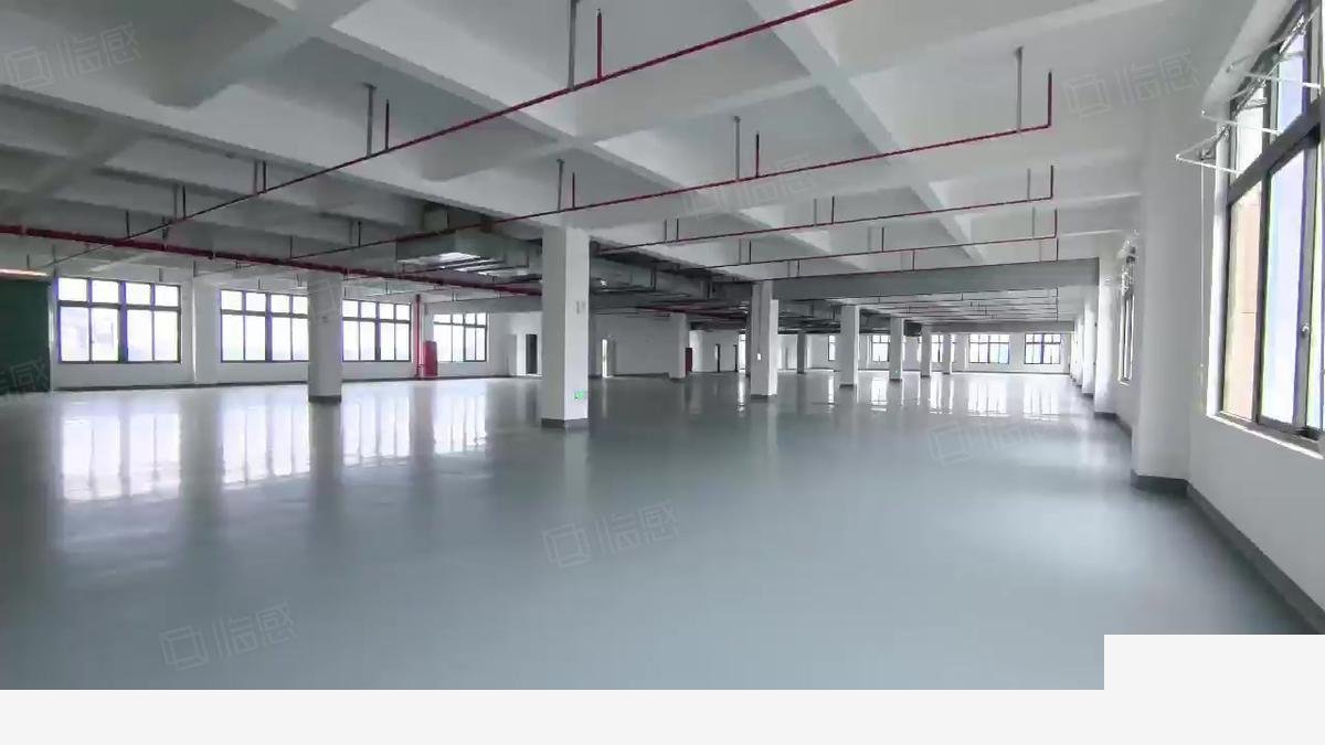 上海超级大型吨货梯两部。独立楼层卸货区，院内空（上海）厂房出租：配套完善