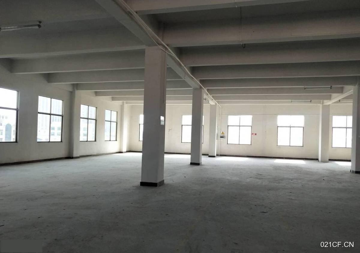 苏州吴中郭巷南标准1500㎡标准厂房单层大车进出厂房出租，配套完善