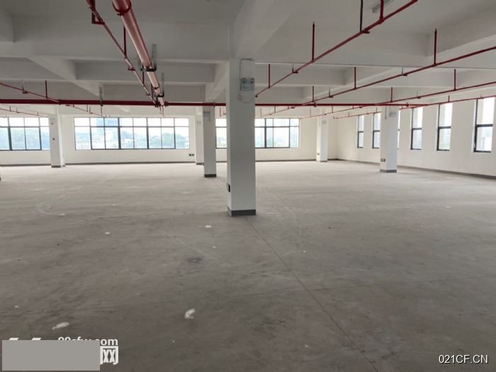 滨江杭州滨江西兴标准地铁5号线滨康站层高451000㎡标准厂房双层厂房出租，地铁直达