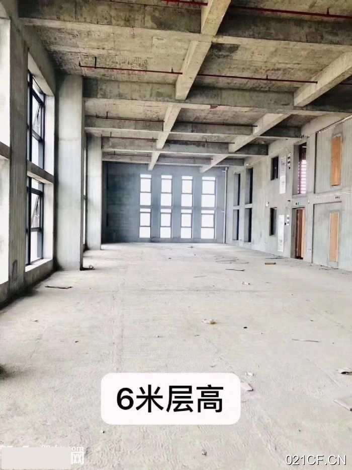 杭州滨江长河高科技层高6米整层2900方500㎡独门独院单层全新厂房出租｜滨江，首层6米层高
