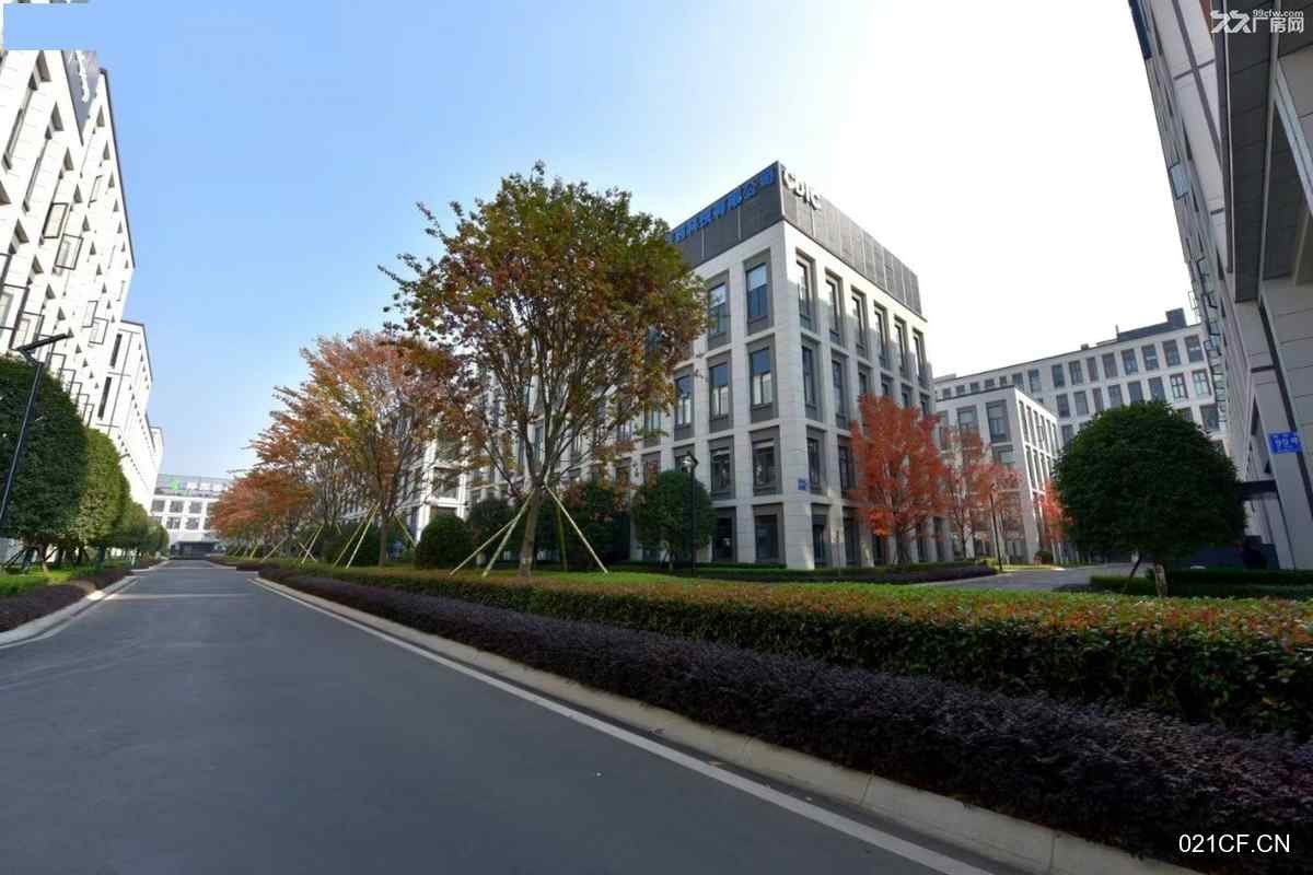 【重点】成都温江金马品质园区三医食品大健康带地坪1000㎡独栋全新厂房出租，优质产业载体