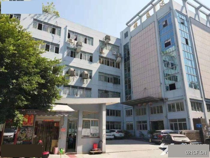 温州瓯海瞿溪巨溪工业区 1到3层3000㎡标准厂房层高5米厂房出租｜，首层5米层高