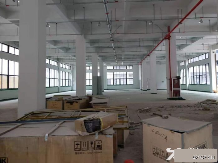 【重点】温州龙湾海滨滨海独栋有喷淋地坪漆货梯3吨4000㎡多层全新厂房出租，优质产业载体
