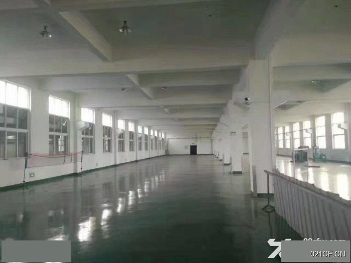 温州龙湾厂房出租实景图2