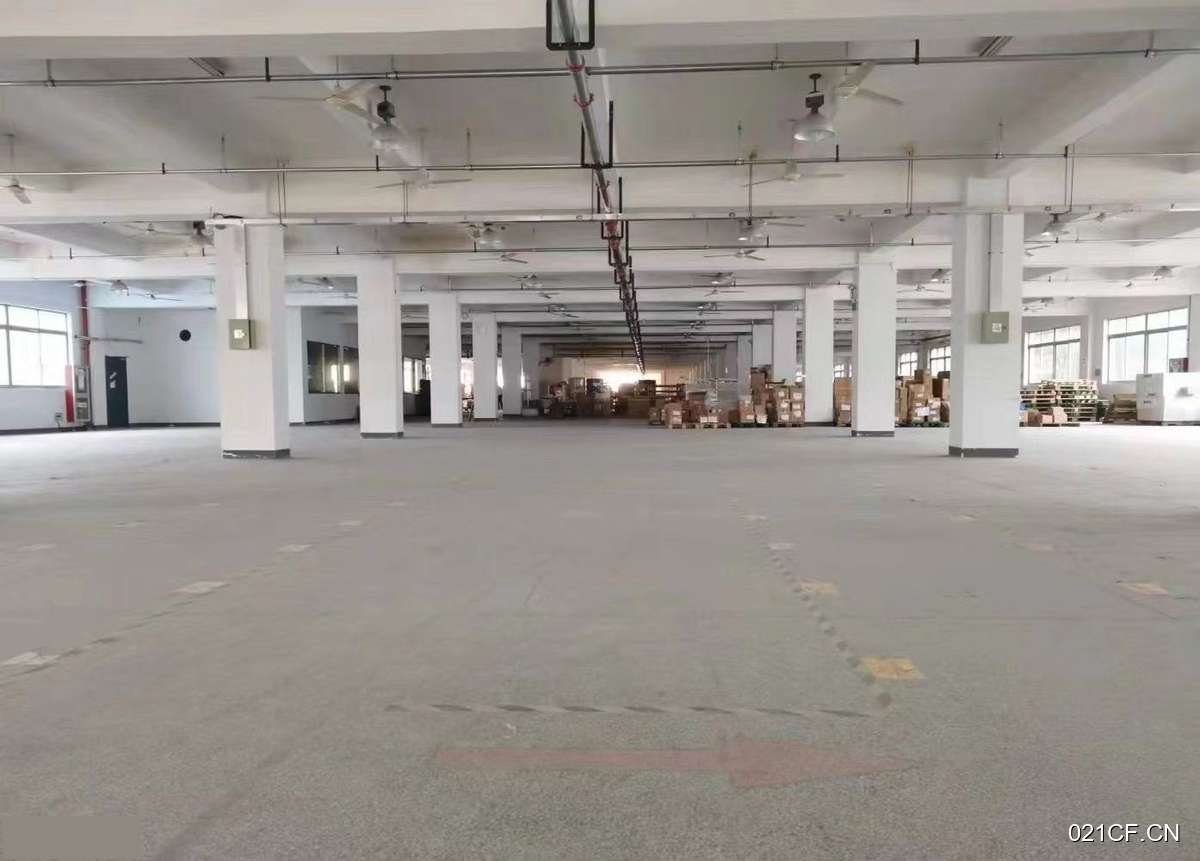 温州瓯海厂房出售实景图2