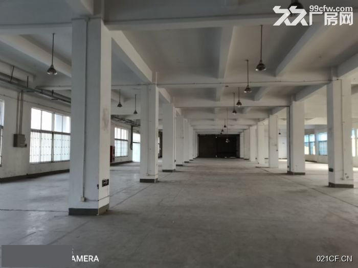 嘉兴秀洲厂房出租实景图2