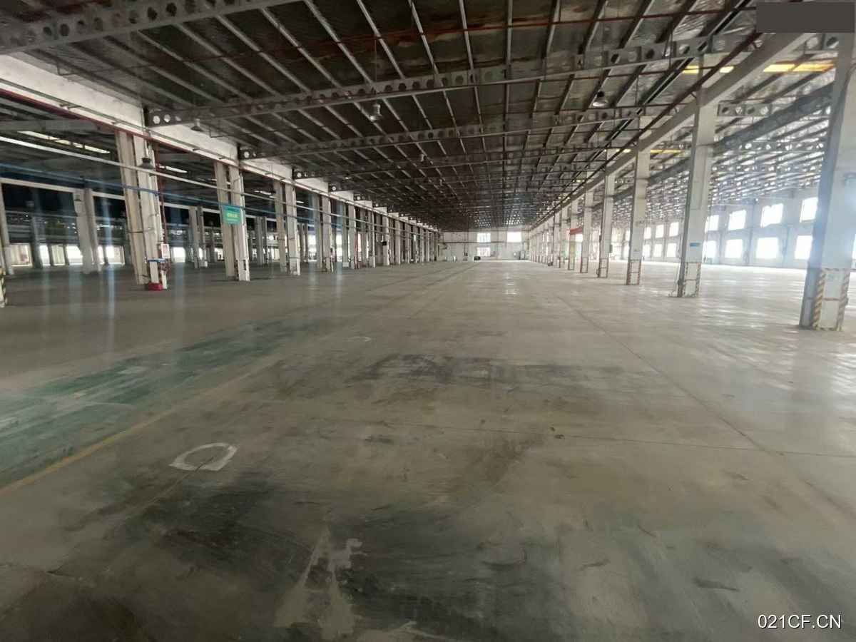 嘉兴嘉善厂房出租实景图2