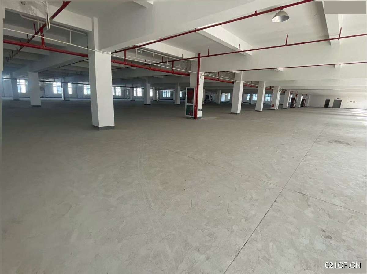 嘉兴嘉善厂房出租实景图2