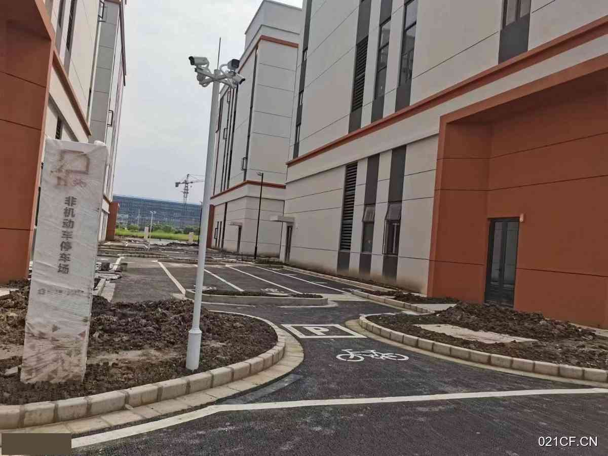 合肥巢湖厂房出售实景图2