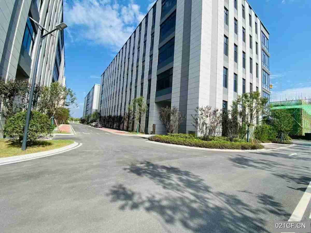 合肥包河厂房出租实景图2