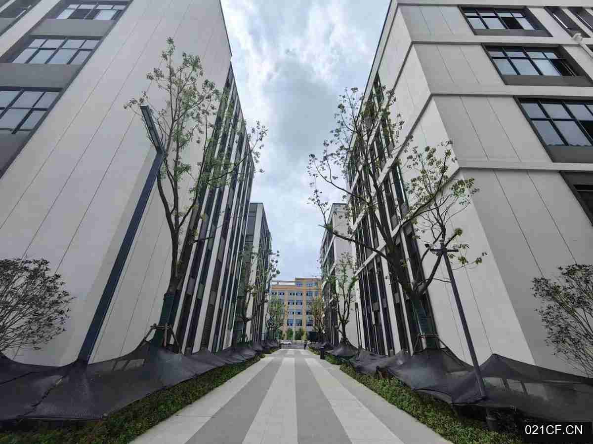 合肥肥西其他最新高标准独栋74㎡全新可分租厂房出售，配套完善