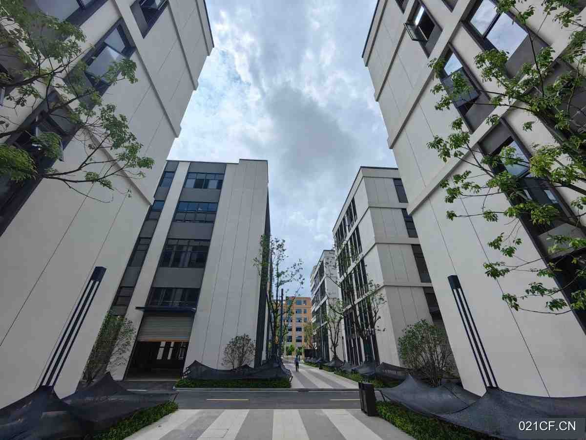 合肥肥西其他近市区唯一可定制独栋园区74㎡层高9米（西其他近市）厂房出售：首层9米层高