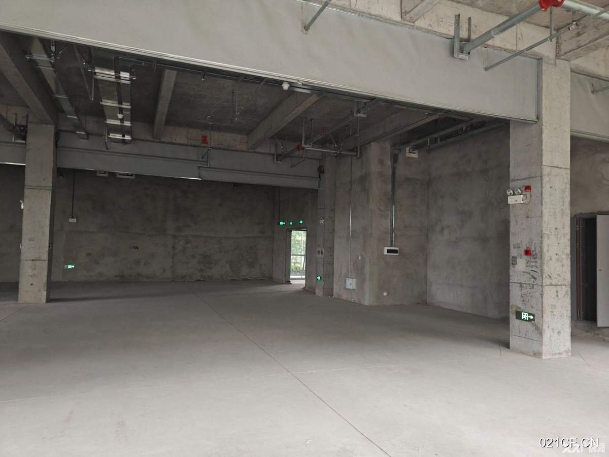 合肥高新大铺头区花园式可环评核心区位配套齐480000㎡独栋厂房出租，空中花园
