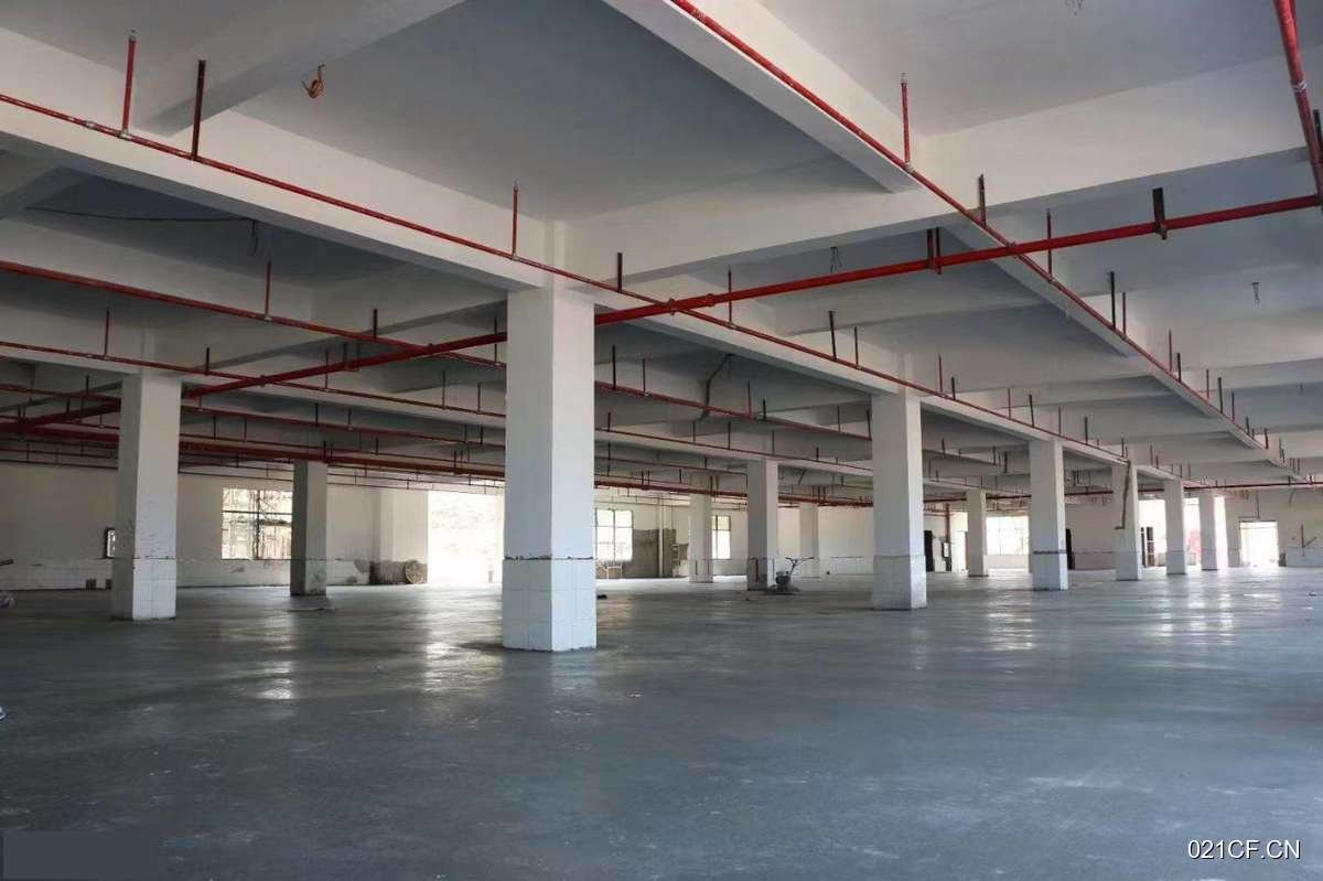 郑州新郑仓库出租实景图2