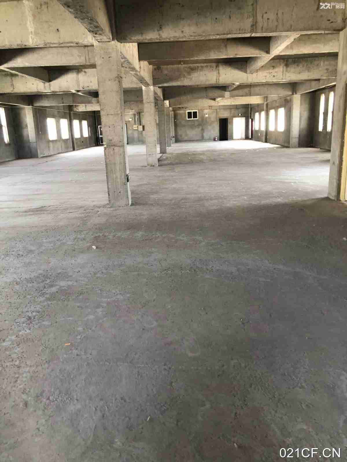 【重点】高新区郑州高新区上街区科学大道1187上街上街区 直租可整可零无中介 标准厂房层高3.9米面厂房出租