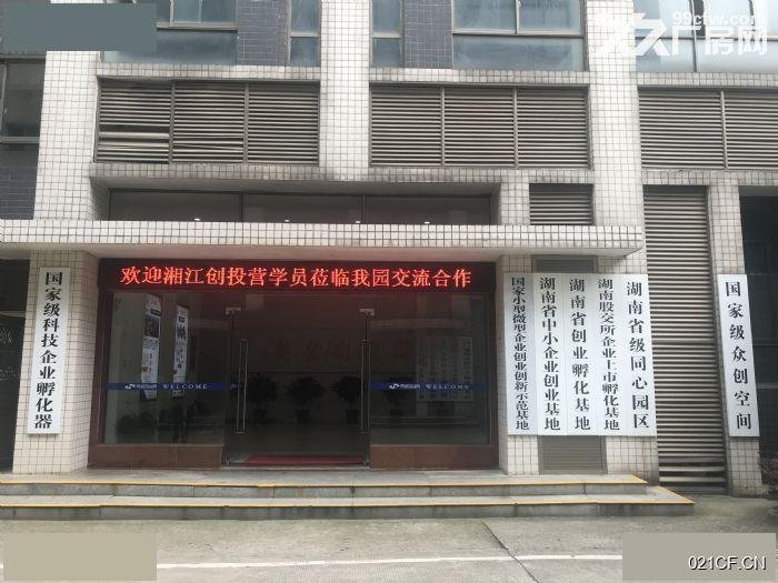 长沙望城厂房出租实景图2
