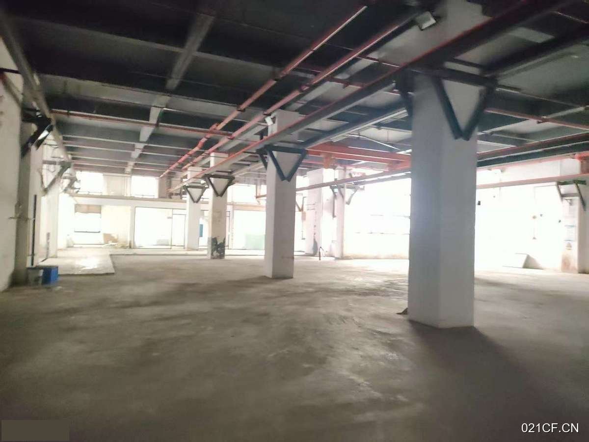 长沙经济开发仓库出租实景图2