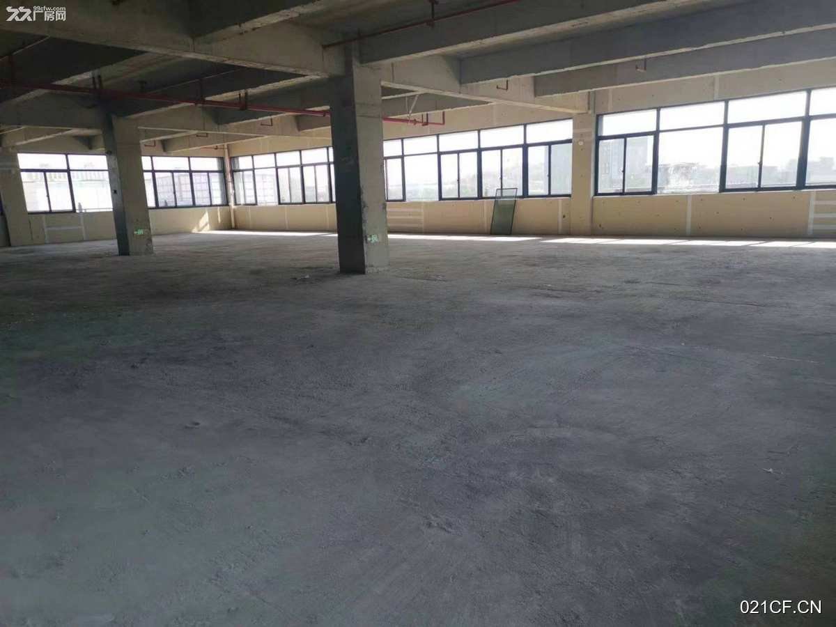 长沙雨花厂房出售实景图2