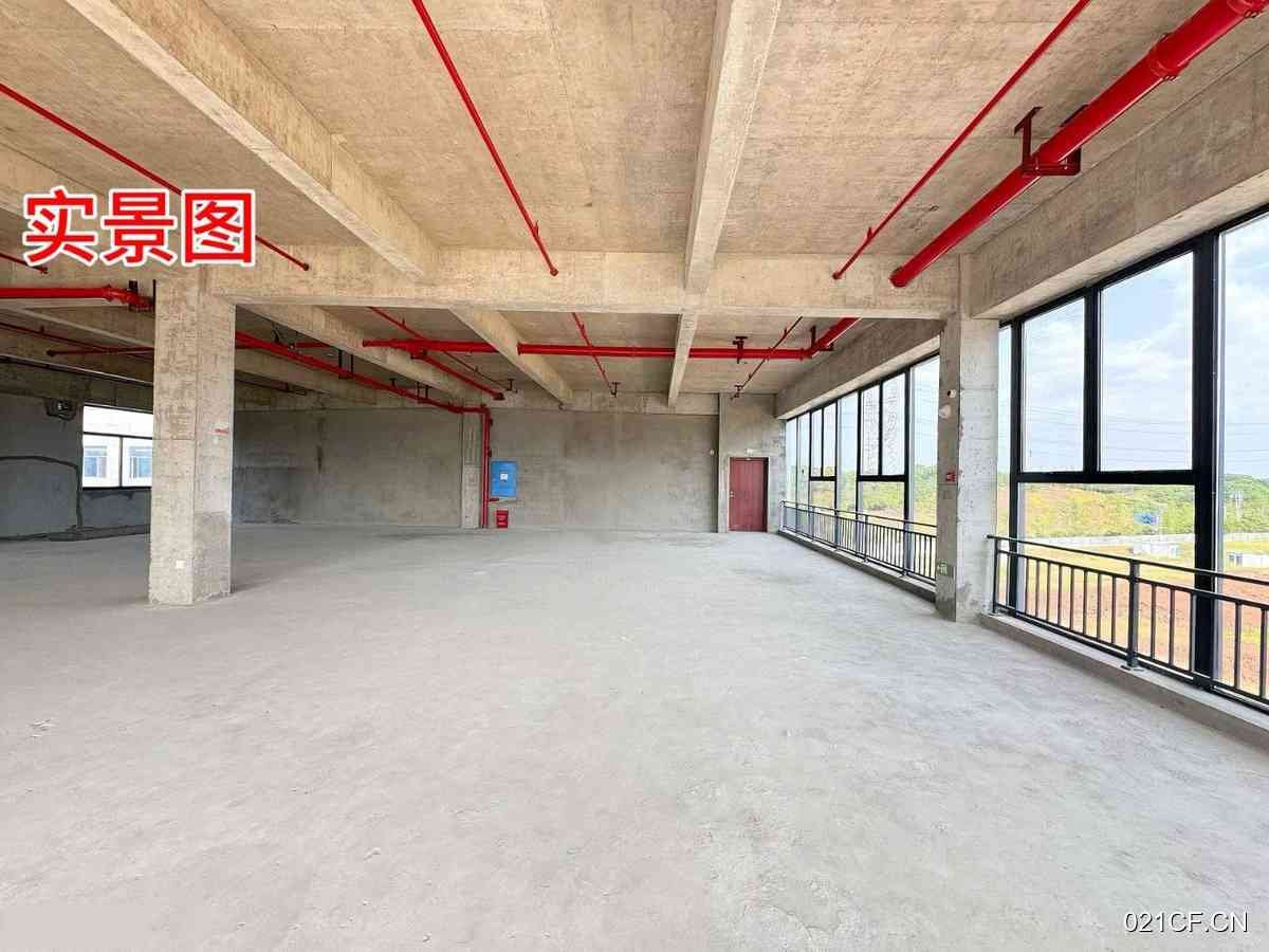 长沙县厂房出售实景图2