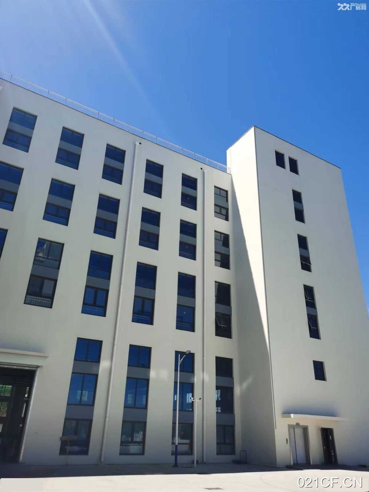 青岛城阳双元路工业楼宇可分割4000㎡单层多层全新（）厂房出租：可灵活分割