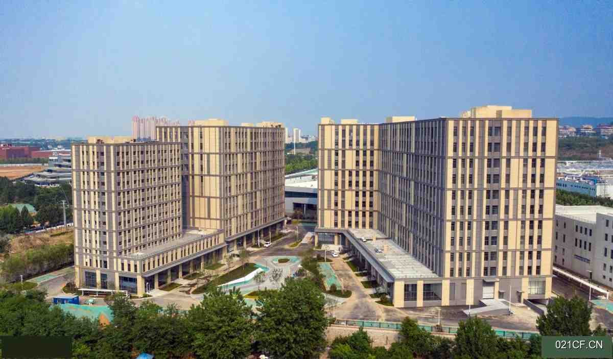 青岛黄岛厂房出租实景图2