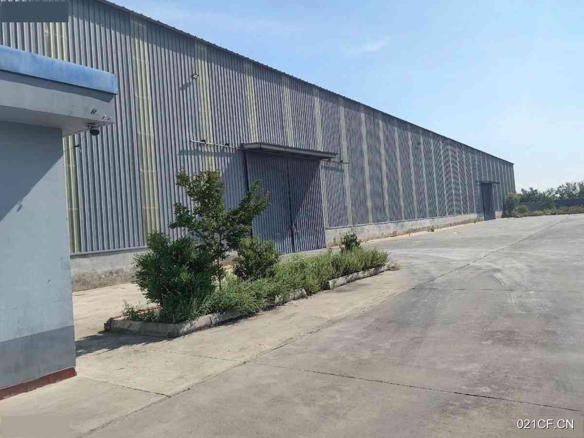 度田庄镇市青岛平度田庄镇市独门独院单层大车进出厂房出租，配套完善