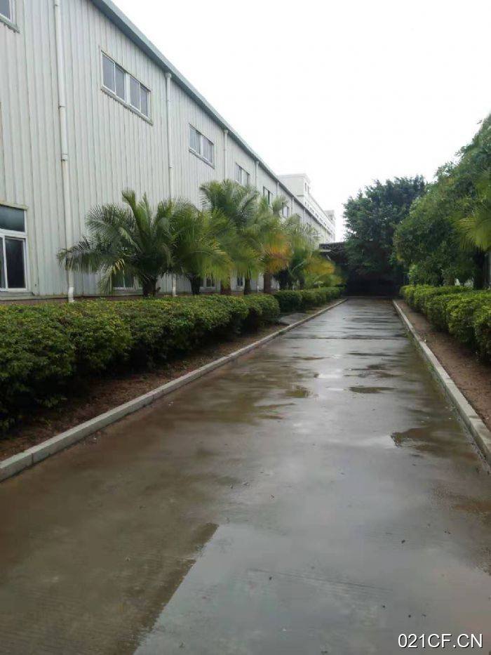 厦门同安洪塘工业区钢结构面积22可喷漆3500㎡可分租层高10米厂房出租，首层10米层高
