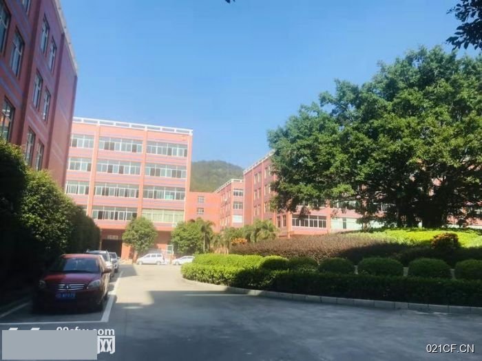 厦门海沧厂房出租实景图2