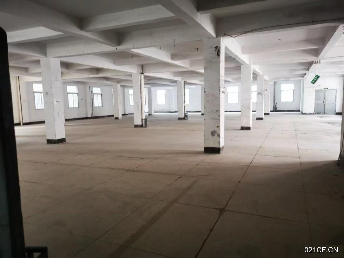 厦门海沧新阳工业区一楼(单层)一楼高6米有货梯900㎡独门独院多层厂房出租，配套完善