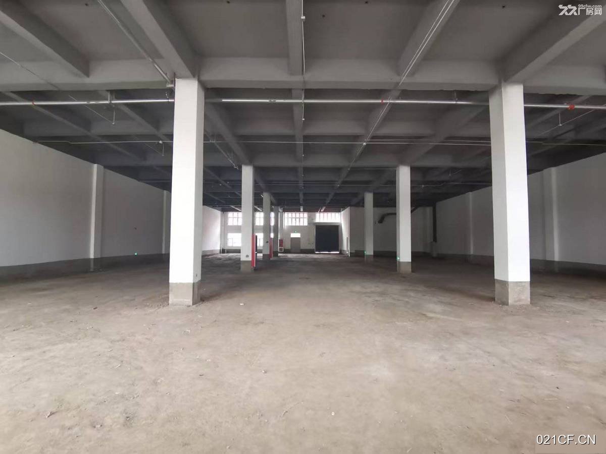 天津滨海新区厂房出租实景图2